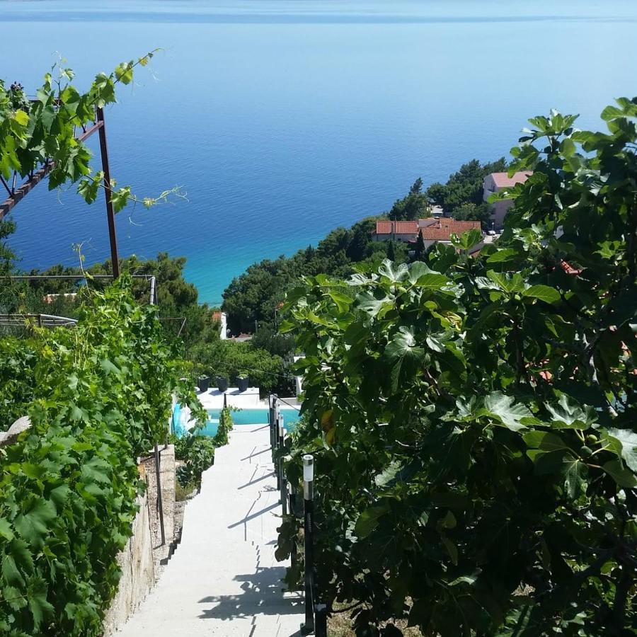 Waterview Apartments - Koru Apartment And Pool Mimice Bagian luar foto