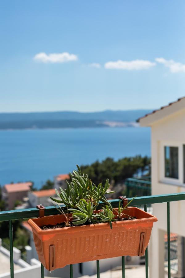 Waterview Apartments - Koru Apartment And Pool Mimice Bagian luar foto