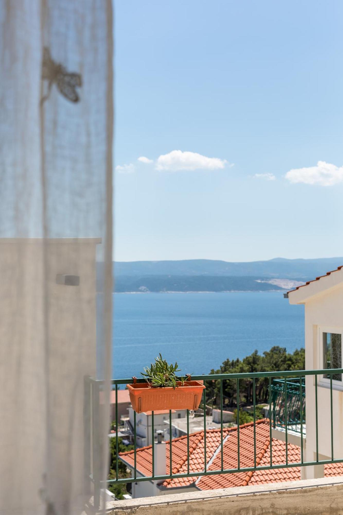 Waterview Apartments - Koru Apartment And Pool Mimice Bagian luar foto